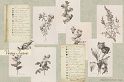 Vintage Museum Collage Elements Pack, an Object Graphic by Oksana Trygub (Thumbnail 23 of 29)