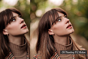 Oil Painting PS Action, an Action Add-On by PSD Action (Thumbnail 5 of 7)