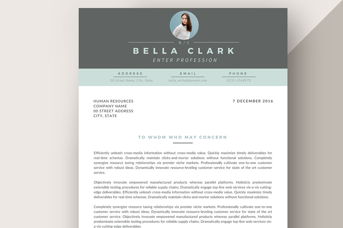 Professional Resume Template RE002, a Resume Template by Draca Design Co (Photo 3 of 4)
