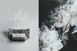 Gentle Whisper. Wedding Floral Font