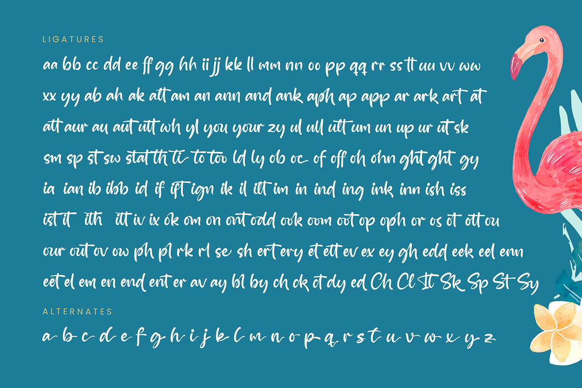 Skyetos Cliplist Bold Handwritten, a Script Font by stylishtype.co (Photo 19 of 20)