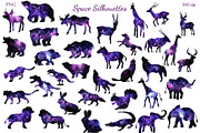 Space Silhouettes, an Animal Illustration by Salted Galaxy (Thumbnail 2 of 8)