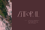 Gesmont, a Serif Font by vuuuds (Thumbnail 11 of 17)