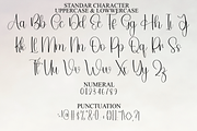 Handsome, a Handwritten Font by FreshTypeINK (Thumbnail 2 of 8)