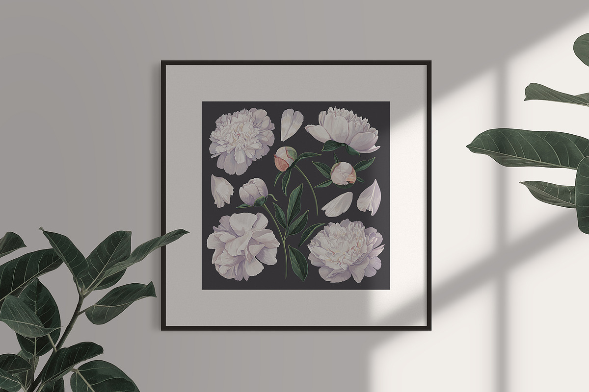 White Realistic Peonies Set, a Decorative Illustration by MarynaPetrovska (Photo 9 of 16)