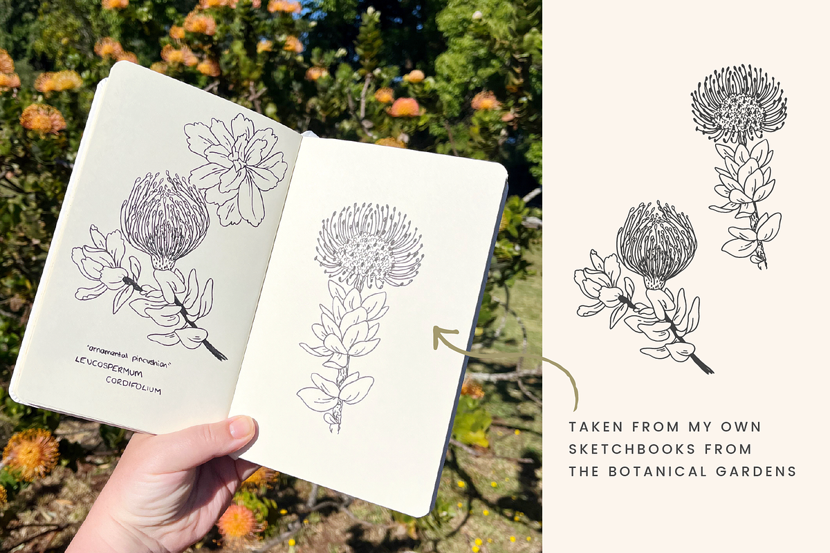 Botanical Sketch Vector Illustration, a Decorative Illustration by Emma Webb Studio (Photo 3 of 7)