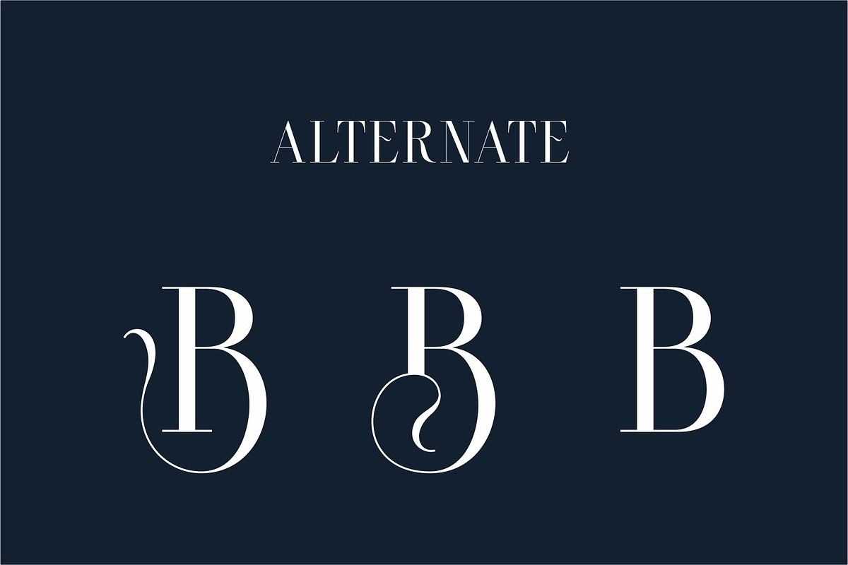 Bestie | Modern Stylish, a Serif Font by Muntab_Art (Photo 10 of 15)