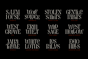 Evertype - Display Serif Font Family, a Serif Font by VP Fonts (Thumbnail 10 of 32)