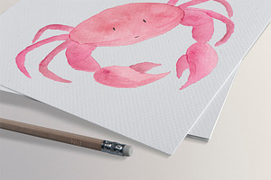 Watercolor Nautical Collection