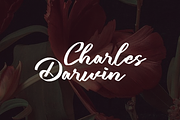 Lubirens, a Script Font by GlottaTypeface (Thumbnail 4 of 8)