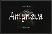 Amynova - Script Sans Serif Display, a Slab Serif Font by Vesvocrea (Thumbnail 1 of 10)