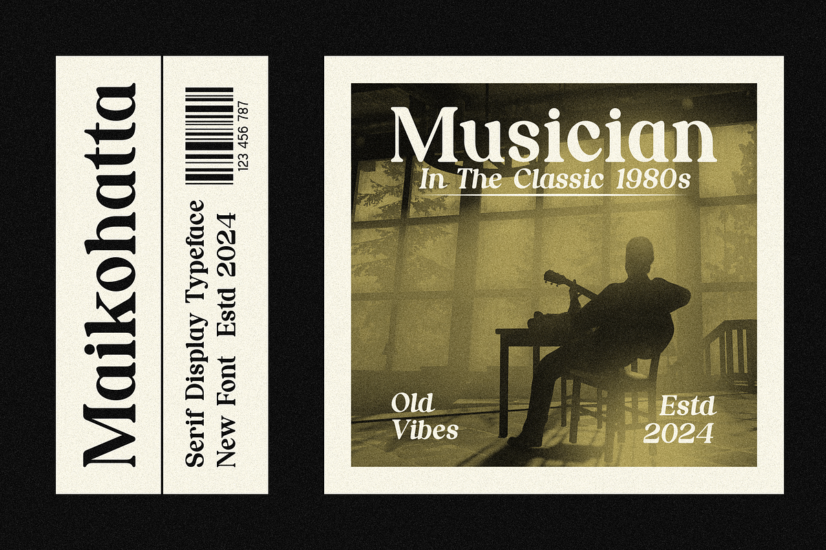 Nordhin - Classic Serif Display Font, a Serif Font by MaikoHatta (Photo 6 of 9)