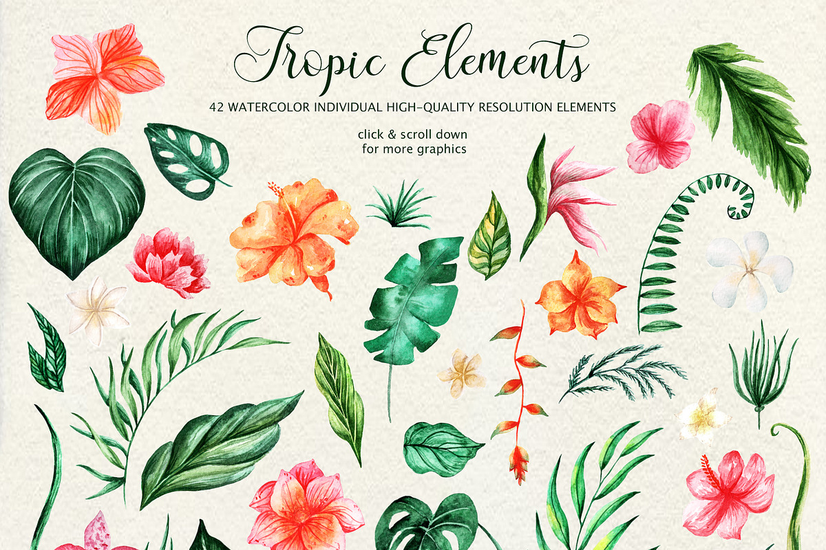 Tropical Dream-watercolor set, a Decorative Illustration by Astarte_design (Photo 2 of 11)