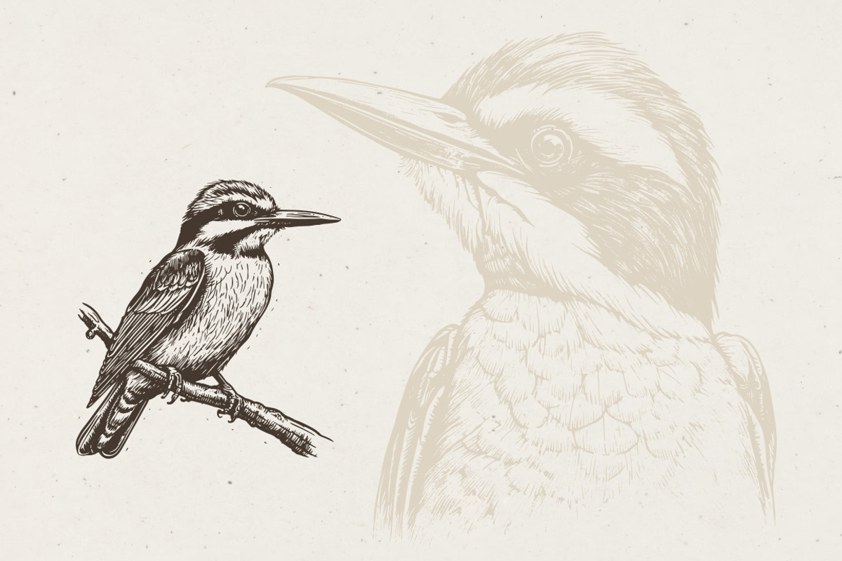 260 Birds Illustrations, an Animal Illustration by Nocturnal Wolf (Photo 9 of 13)
