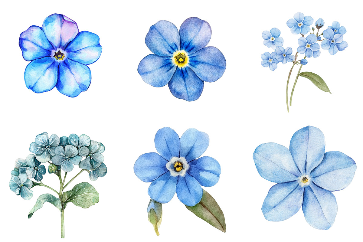Forget Me Not Flower Bloom Clipart, an Illustration by cherrydesign (Photo 3 of 4)