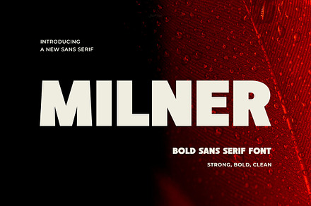 Milner - Modern Bold Sans Serif, a Sans Serif Font by Typeformers