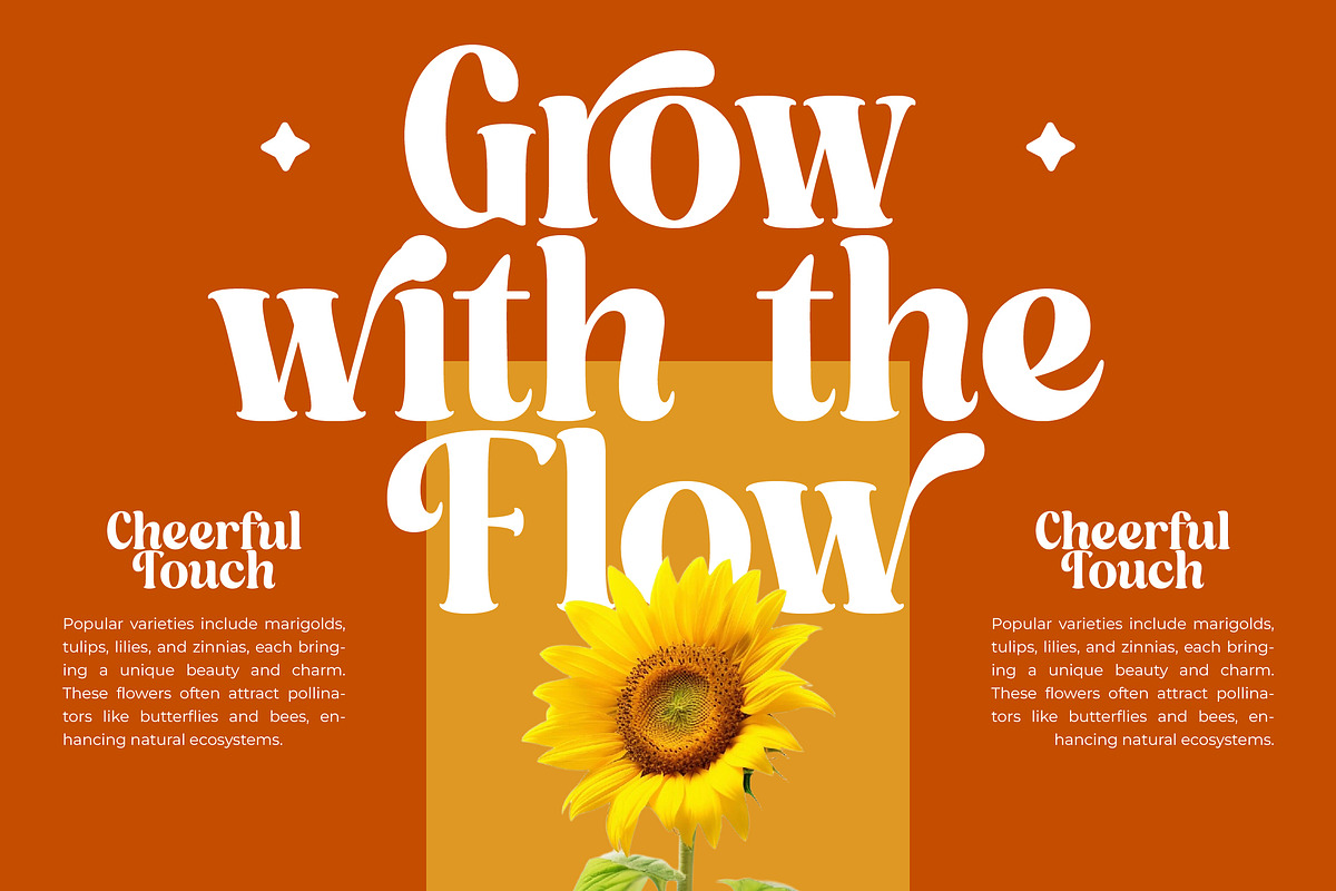 Dusty Brothe Groovy Serif Display, a Serif Font by timelesstype.co (Photo 3 of 20)