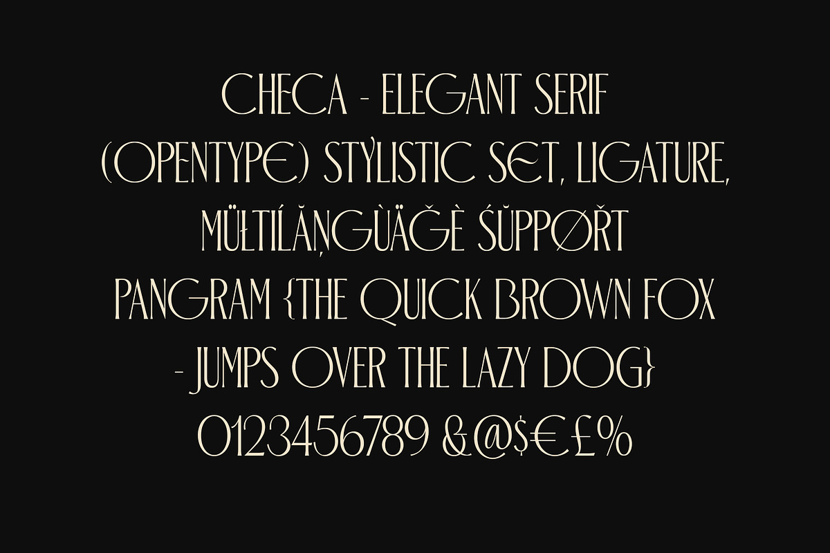 ED Checa - Elegant Serif, a Serif Font by Emyself Design (Photo 3 of 9)