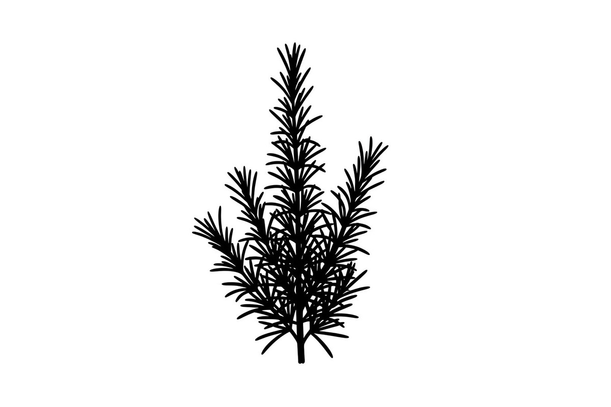 Floral Ornament Silhouette Bundle, an Illustration by BIPLOB EXPERT (Photo 43 of 51)