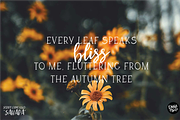 APPLE CIDER Vintage Serif Font, a Serif Font by Blush Font Co. (Thumbnail 6 of 6)