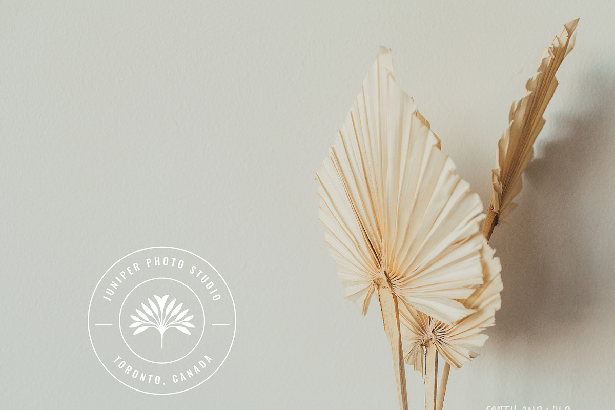 Minimal Logo Kit For Illustrator, a Branding & Logo Template by Forth and Wild (Photo 2 of 14)