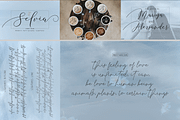 THE COLLECTION BUNDLE, a Script Font by danti (Thumbnail 5 of 31)