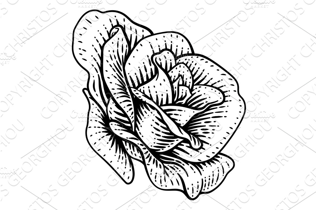 Rose Flower Design Woodcut Vintage, an Illustration by Christos Georghiou