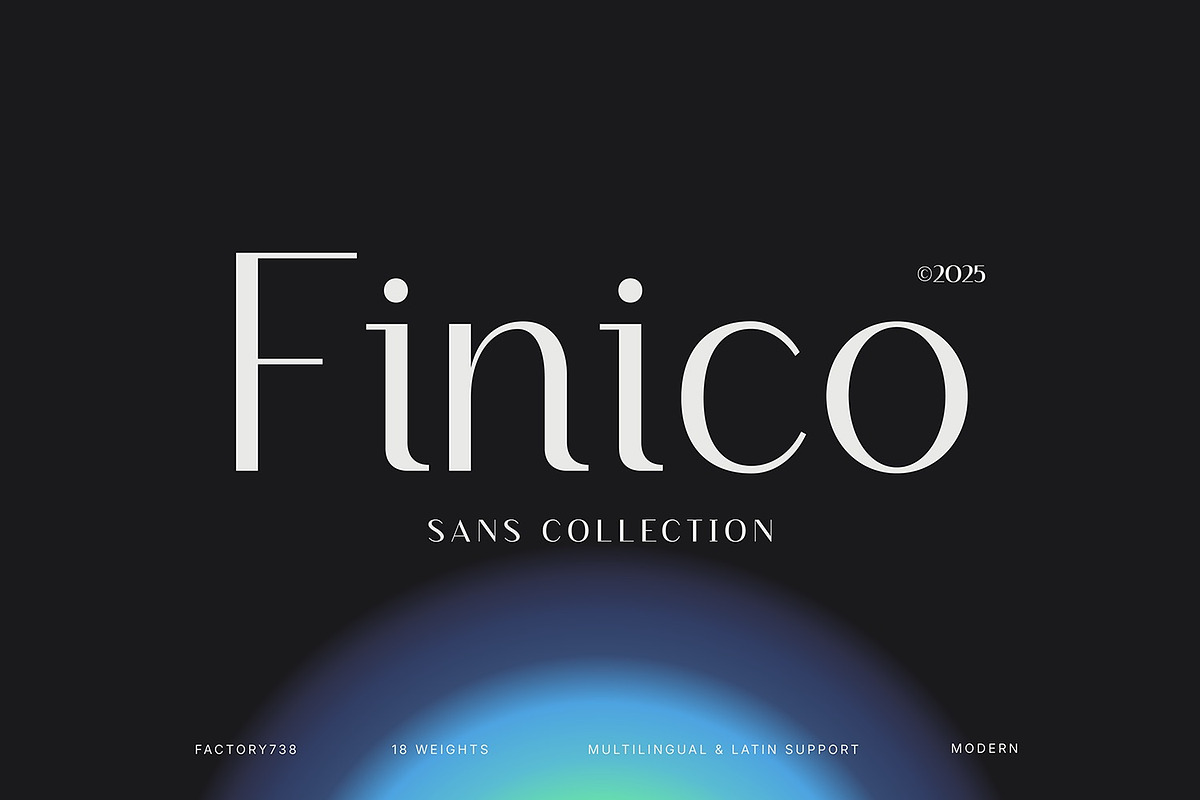 Finico Sans – Modern Editorial Sans, a Sans Serif Font by FactoryType Studio (Photo 1 of 11)