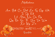 Millatira Elegant Script Font, a Script Font by Basnistudio (Thumbnail 7 of 8)