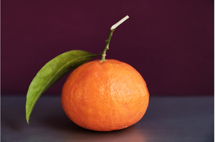 Side view of sweet mandarin orange, a Food & Drink Photo by Rohan Photography