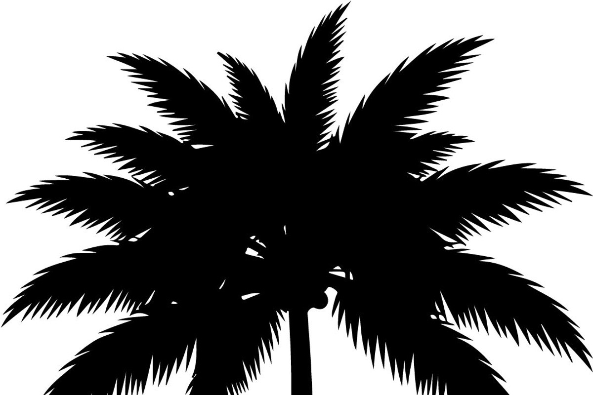Palm Tree SVG Bundle, an Illustration by Creativeshirt (Photo 4 of 7)