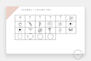 20+ Floral Stamps for Procreate Vol2, a Brush Add-On by SorrDesign (Thumbnail 2 of 5)
