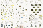 Entire Watercolor Bundle 11 in 1, a Decorative Illustration by ArtMaslyana (Thumbnail 6 of 14)