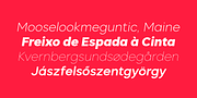 Biotic, a Sans Serif Font by TypeUnion (Thumbnail 14 of 15)