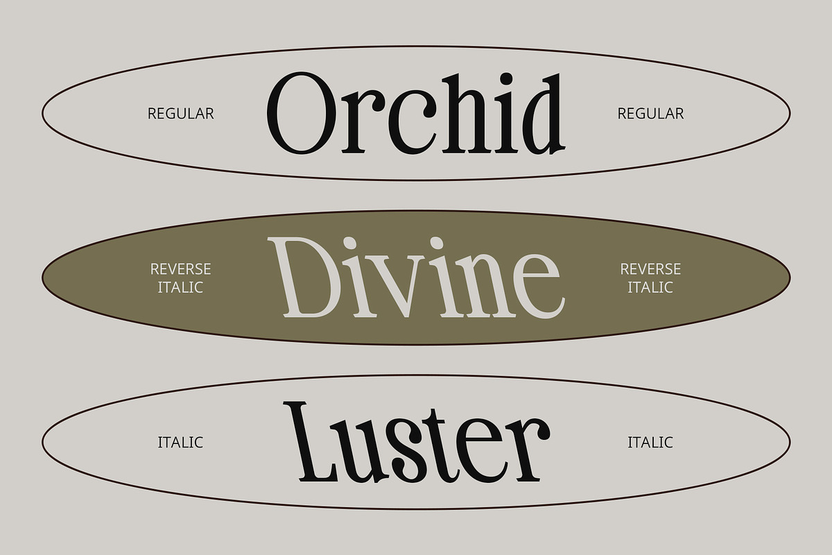 CS Sterling – Classic Font, a Serif Font by Craft Supply Co. (Photo 3 of 8)