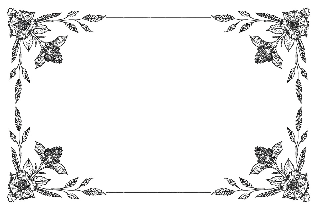 Elegant Floral Border Vector Set, an Illustration by Gfx_Store (Photo 5 of 9)