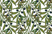 Mediterranean olive branch set, a Pattern Graphic by NayaChu (Thumbnail 4 of 11)