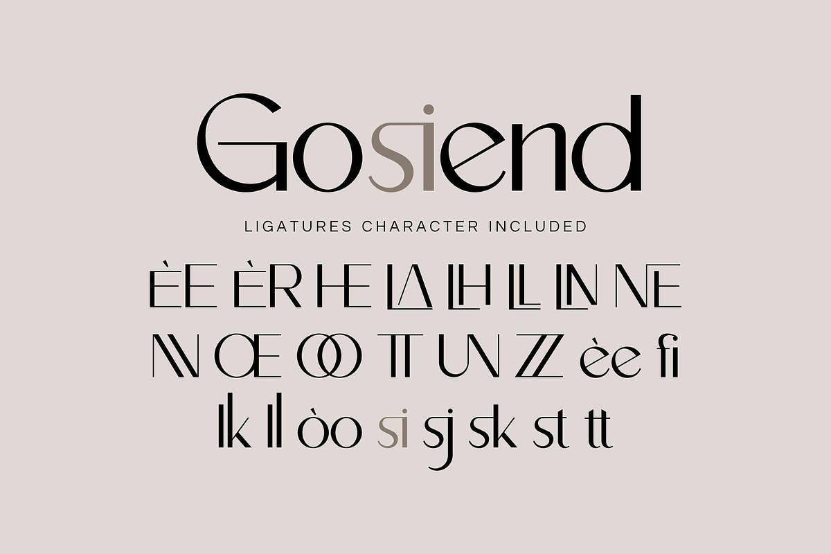 Diore Bonneg -Aesthetic Display Font, a Sans Serif Font by Fype Co. (Photo 4 of 5)
