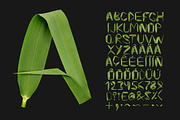 Reed Font, a Font by Handmadefont (Thumbnail 2 of 9)