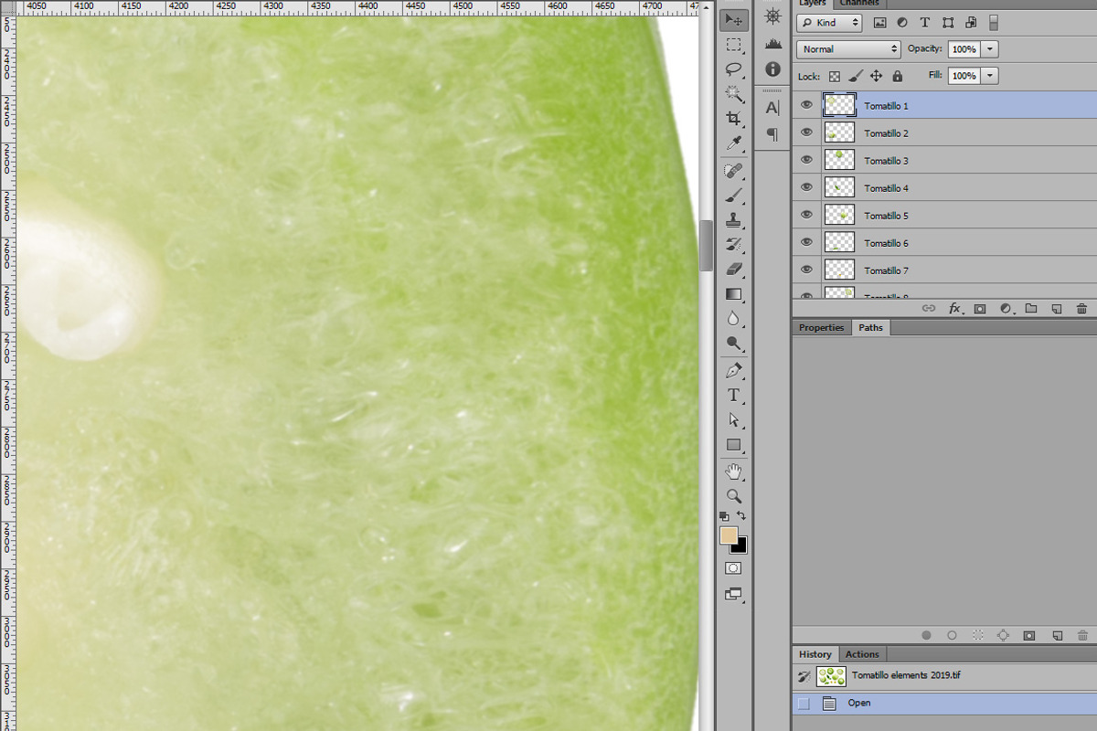 Tomatillo elements, an Object Graphic by Hortimages (Photo 2 of 2)