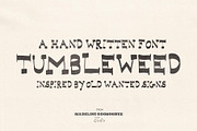 Tumbleweed Hand Drawn Western Font, a Handwritten Font by Madeline ODonoghue Design (Thumbnail 10 of 14)
