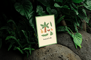 Summer Time Vector Illustration Kit, an Object Graphic by semenova.sense (Thumbnail 12 of 13)