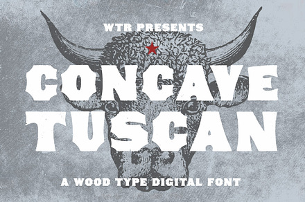Concave Tuscan