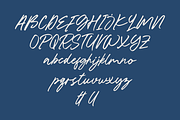 Guyon Banter - Script Font, a Script Font by GFRcreative (Thumbnail 6 of 8)