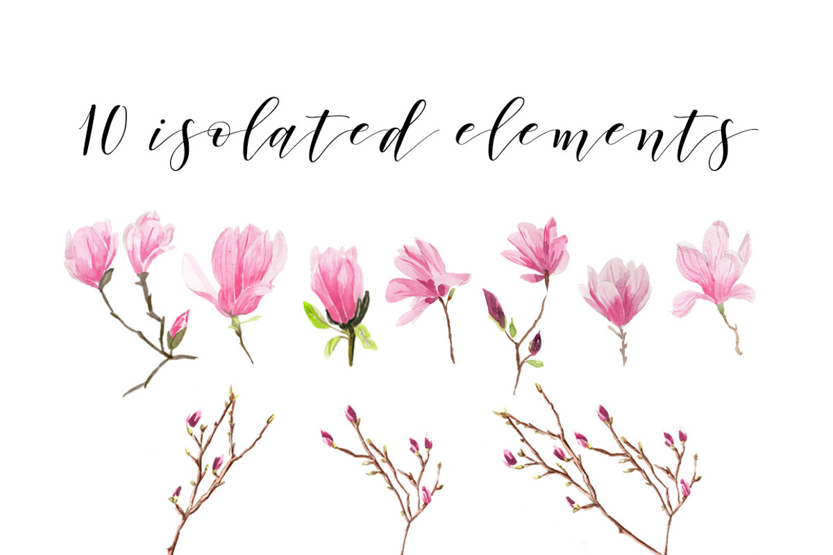 Magnolias Watercolor flowers, an Illustration by Anis Illustration (Photo 3 of 7)