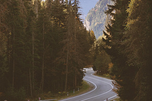 Winding road through the forest containing road trip, road, and forest