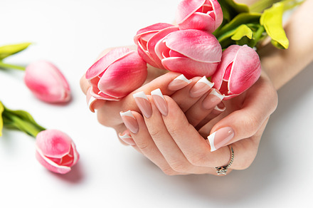 Woman holding pink tulips showing french manicure on white backg