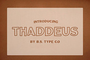 BS Thaddeus | Vintage Font Family, a Slab Serif Font by BS Type Co. (Thumbnail 1 of 4)