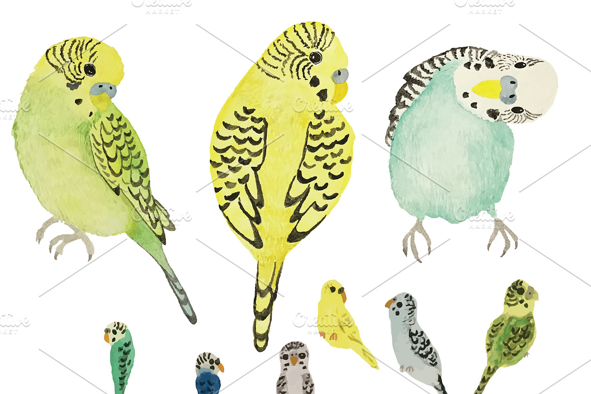Watercolor Birds, a Pattern Graphic by Valeri Nick (Photo 3 of 6)