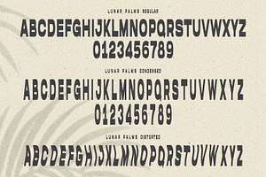 LUNAR PALMS Font